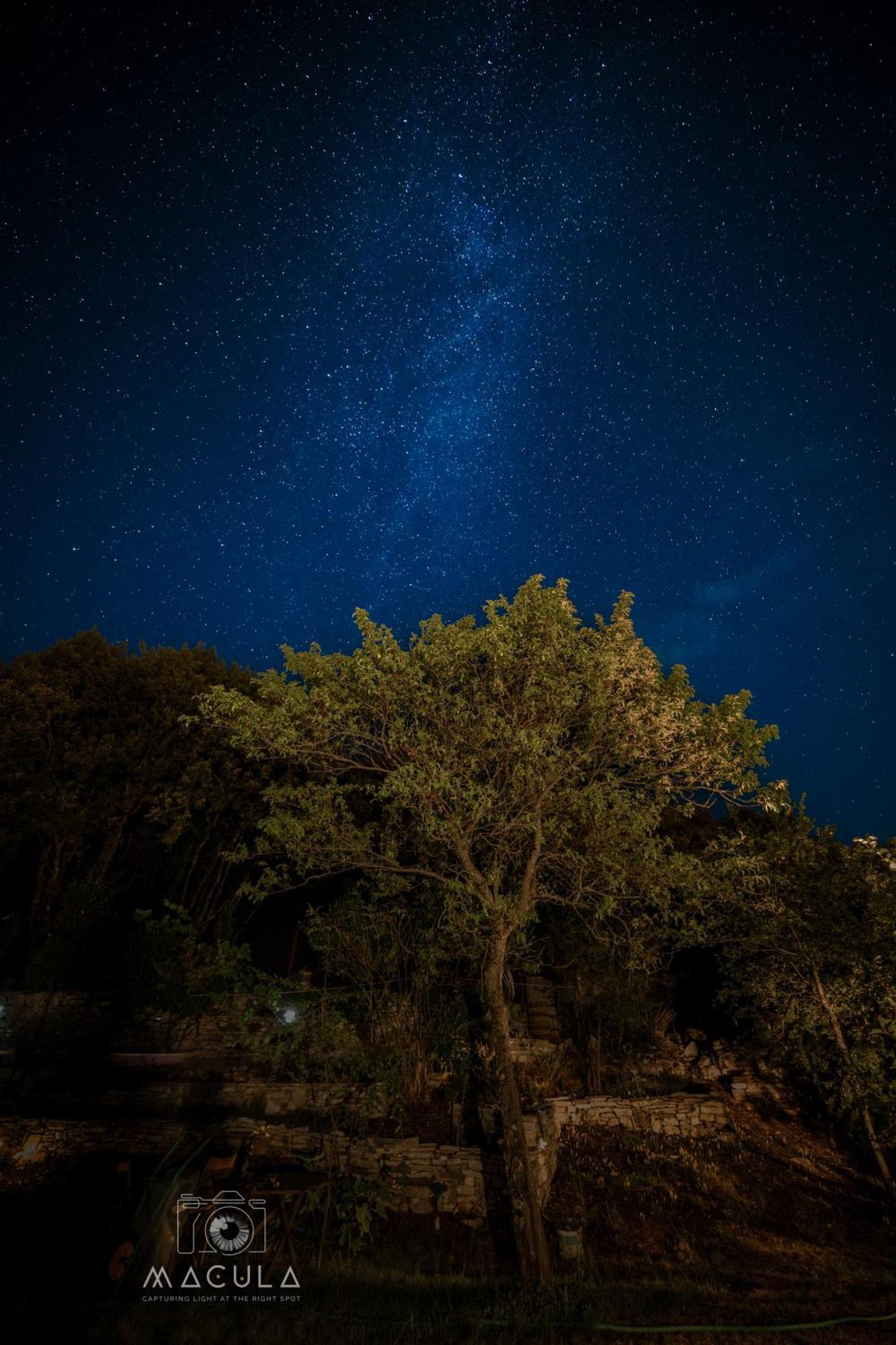 Hotel Katikia Zagori Vitsa Exteriér fotografie